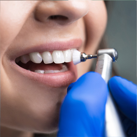Dental Cleanings and Exams